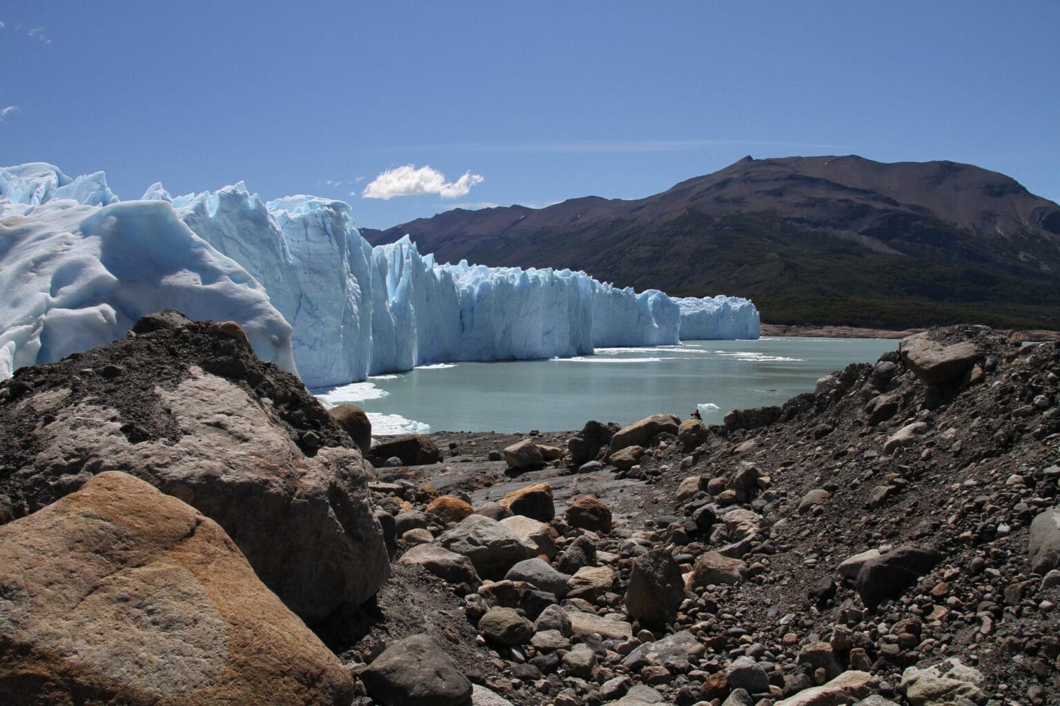 calafate-1079688.jpg