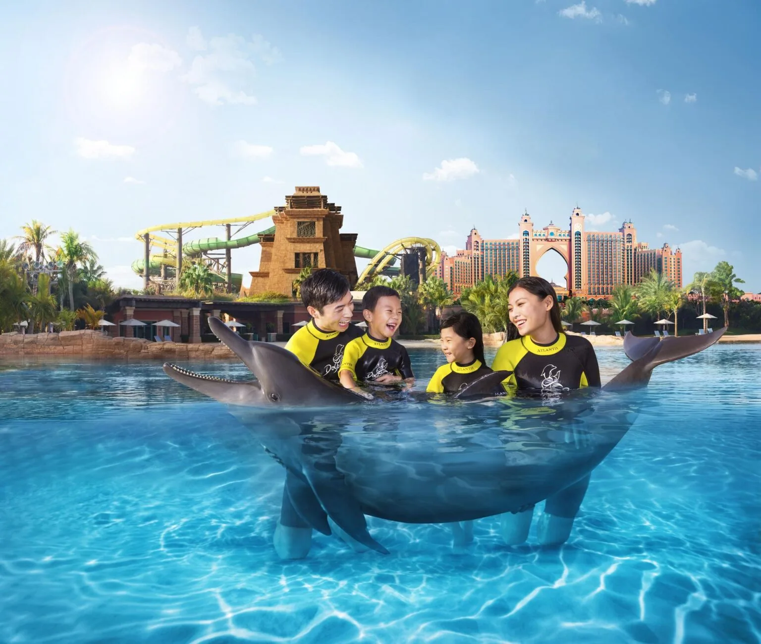 chineseguestsdolphinbay.jpg
