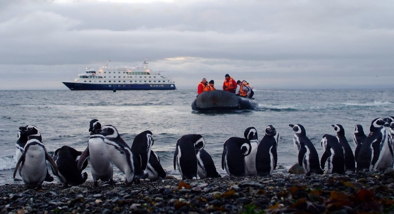 desembarco-isla-magdalena.jpg