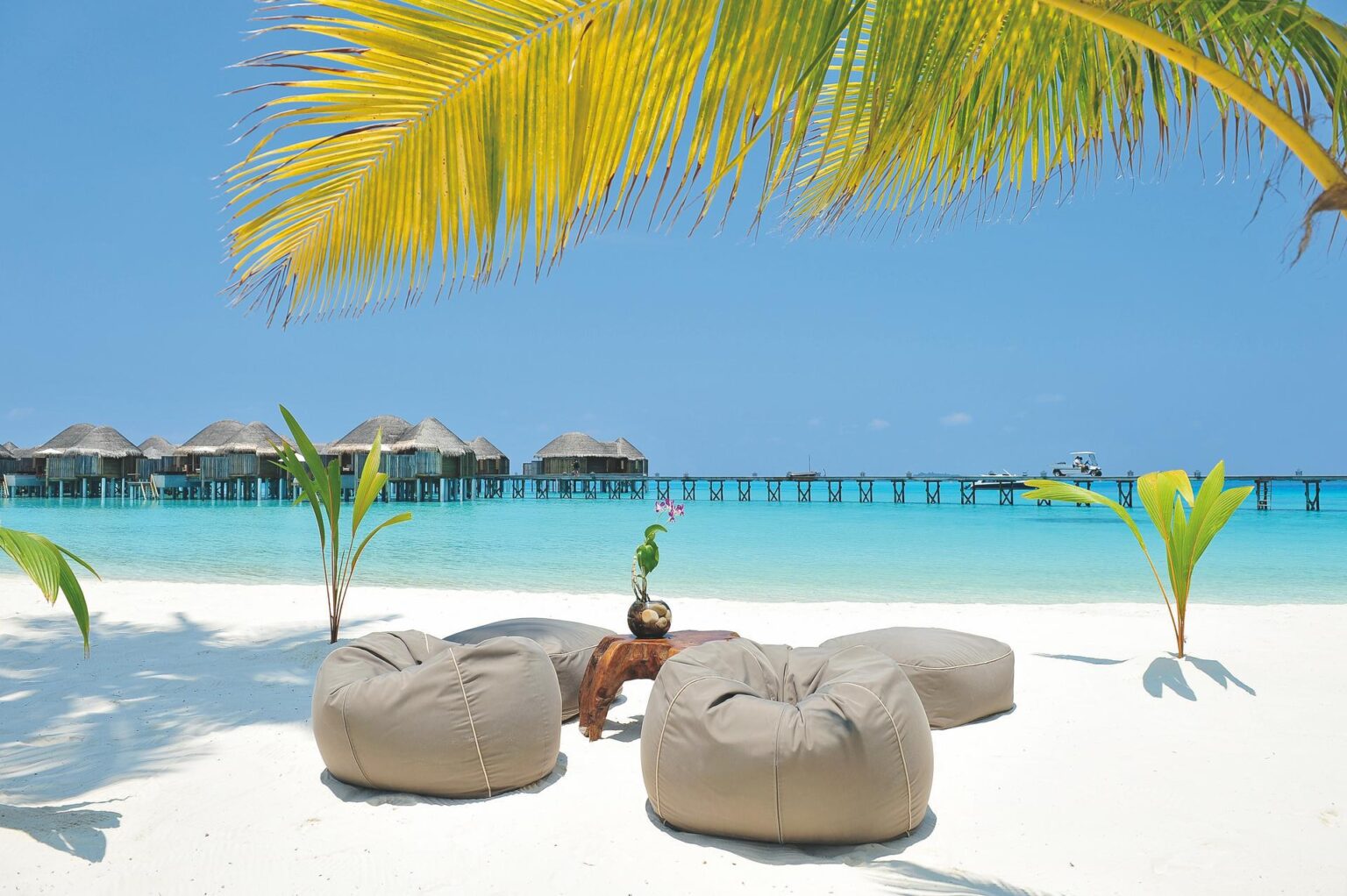 halaveli-maldives-sandy-beach-4.jpg