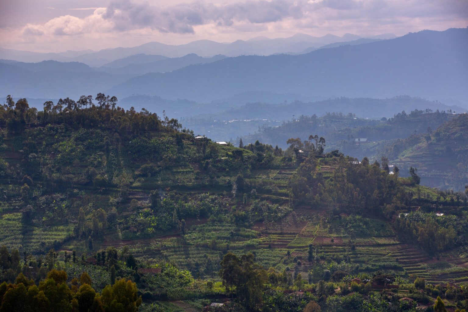 landscape_-_rwanda_4.jpg