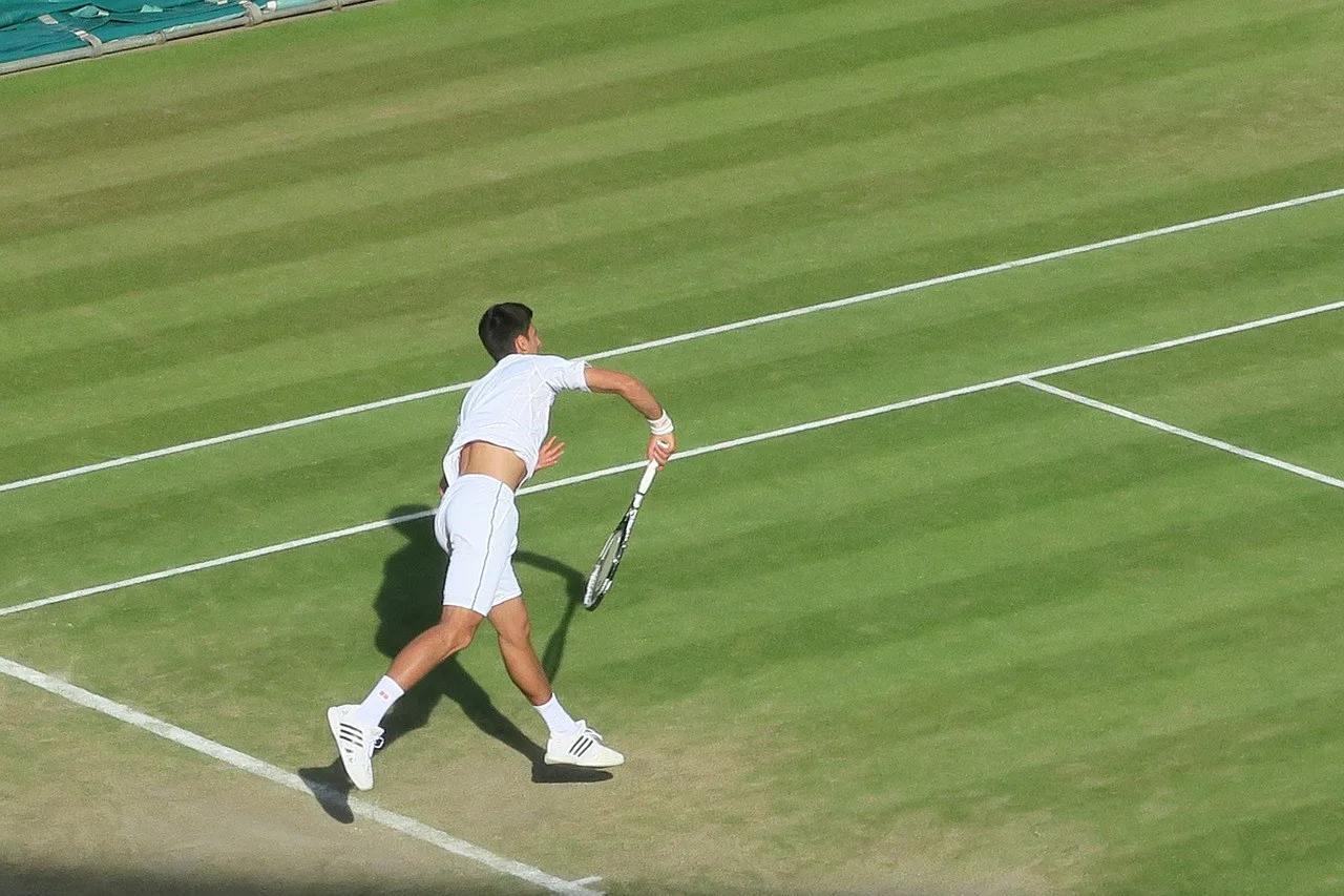 novak-jokovic-1600735_1280.jpg