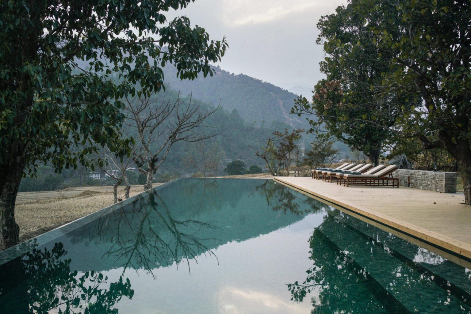 punakha_lodge_swimming_pool_office_17477_1.jpg