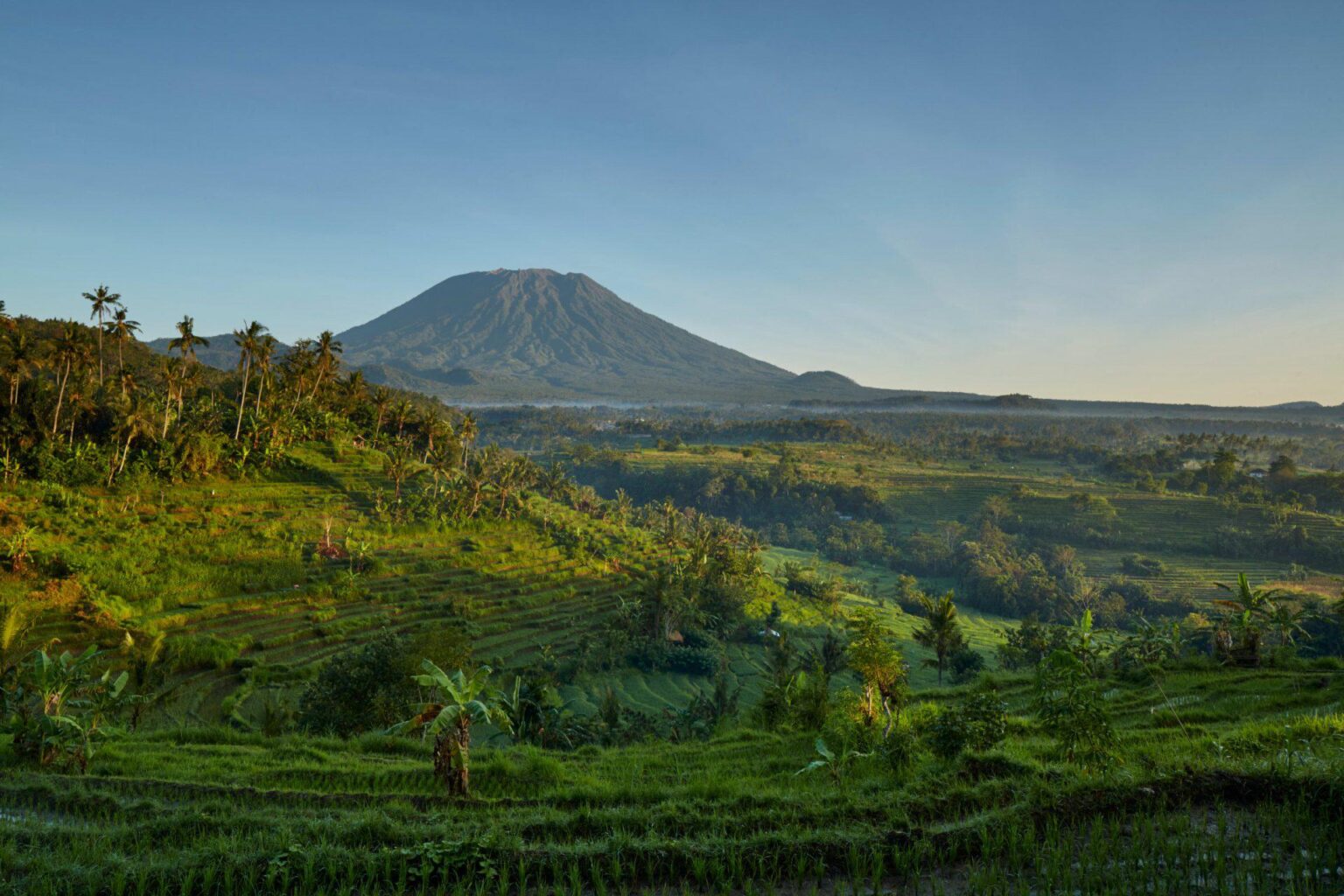 ricefields_mount_agung_office_11476.jpg