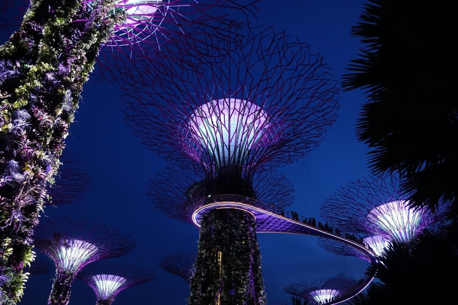singapore-3243844.jpg