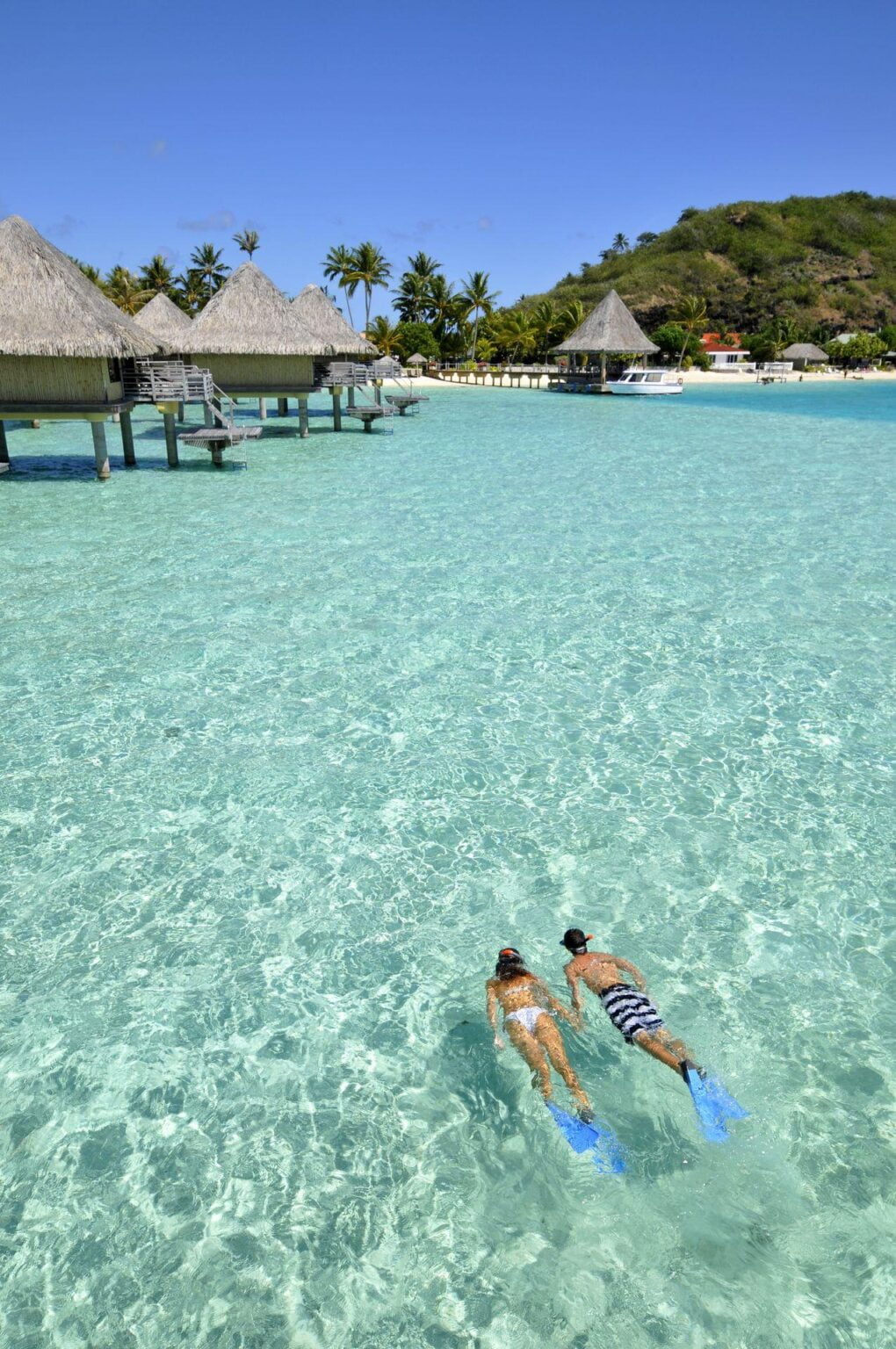 snorkeling-at-intercontinental-bora-bora-le-moana-resort_5783820772_o.jpg