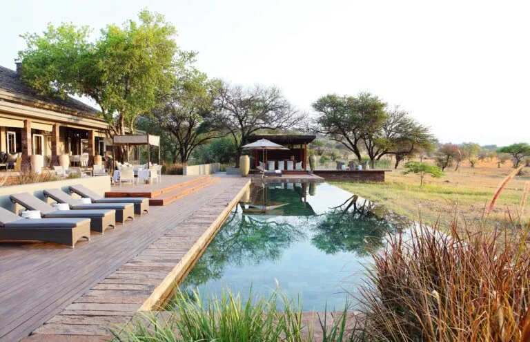 Singita Serengeti House, 4 люкса: люкс с 1 спальней в главном доме, люкс с 1 спальней в саду, детские программы и кулинарные мастер-классы