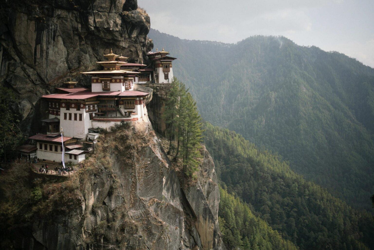 tigers_nest_monastery_office_17240_0.jpg