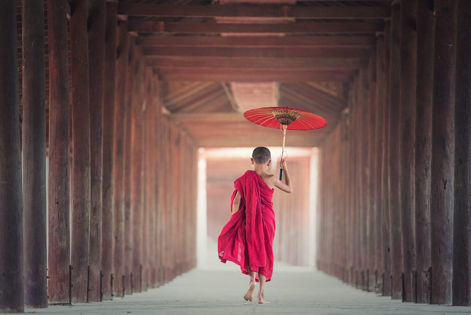 umbrella-1807513.jpg