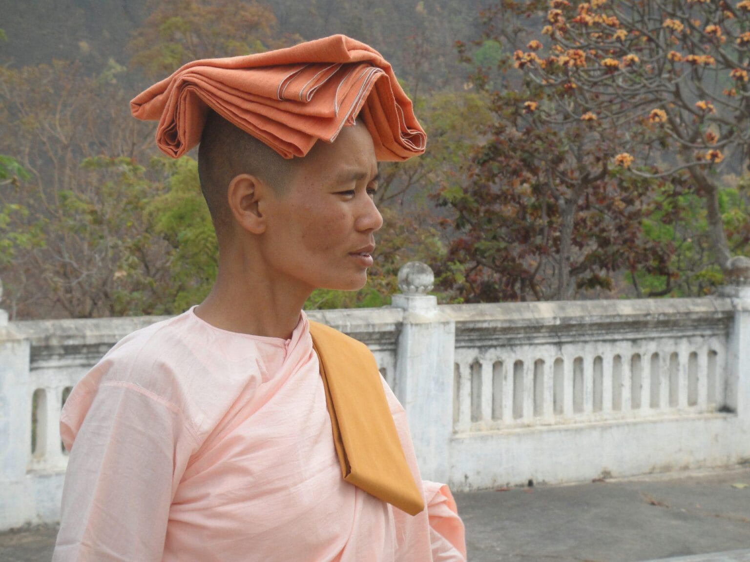 woman-868277.jpg
