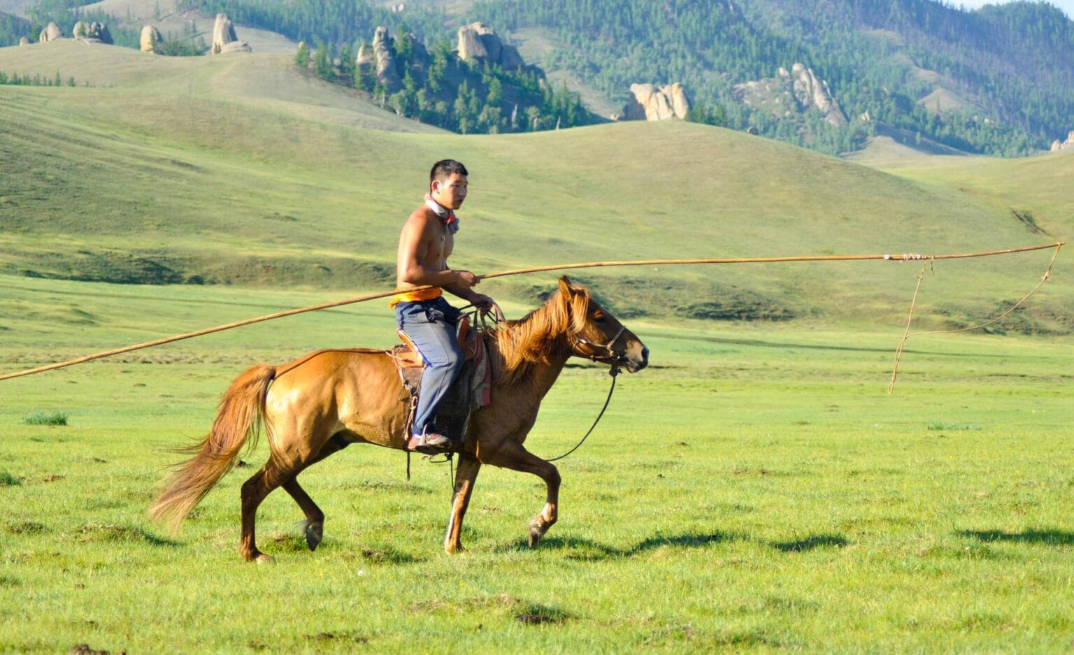 wrangler-2507544.jpg