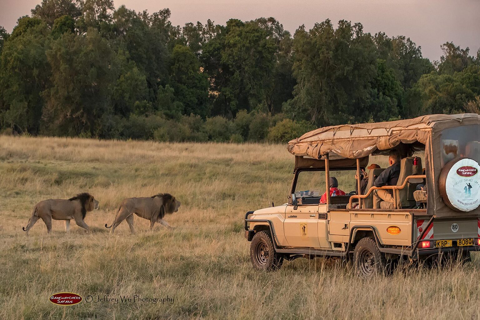 wyprawy-Kenia-a-la-Hemingway-Porini-Lion-Camp-safari-26.jpg