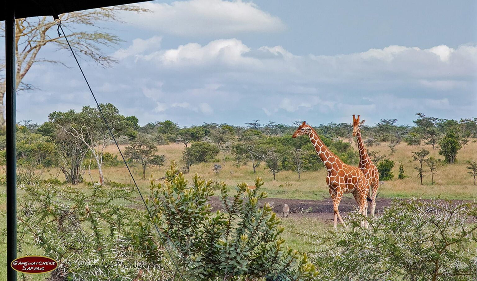 wyprawy-Kenia-a-la-Hemingway-Porini-Rhino-Camp-17.jpg