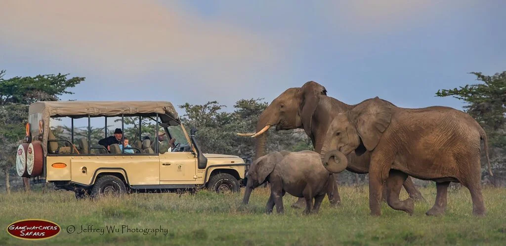 Kenia à la Hemingway,Park Narodowy Nairobi,Kenia w 8 dni,Porini Amboseli Camp,Porini Rhino Camp