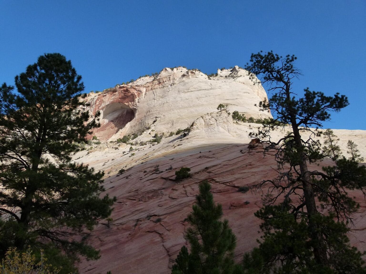 zion-national-park-208852.jpg