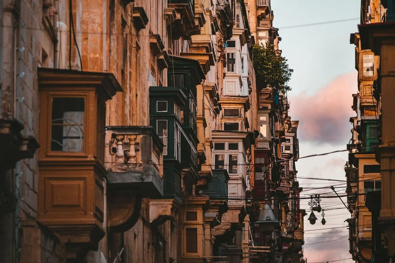 4.-фото.-Золтан-Таси-он-unsplash.com_.jpg