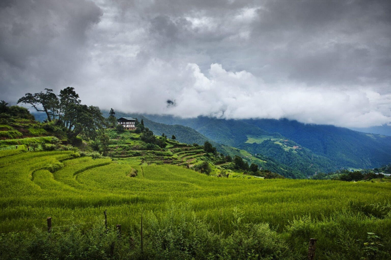 49293311-H1-mm858_Como_Punakha-0615_FINAL.jpg