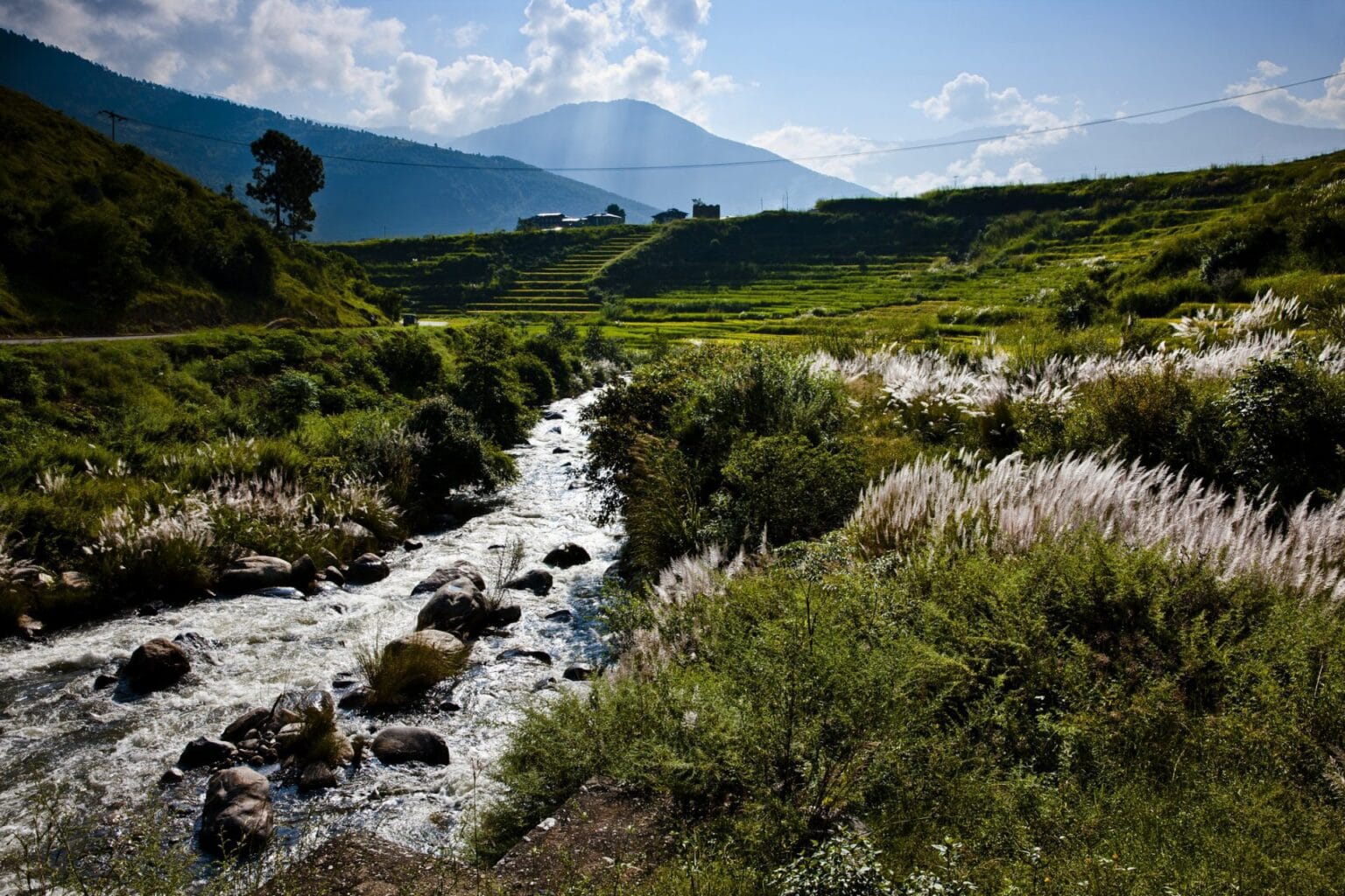 49293407-H1-mm858_Como_Punakha-2698_FINAL.jpg