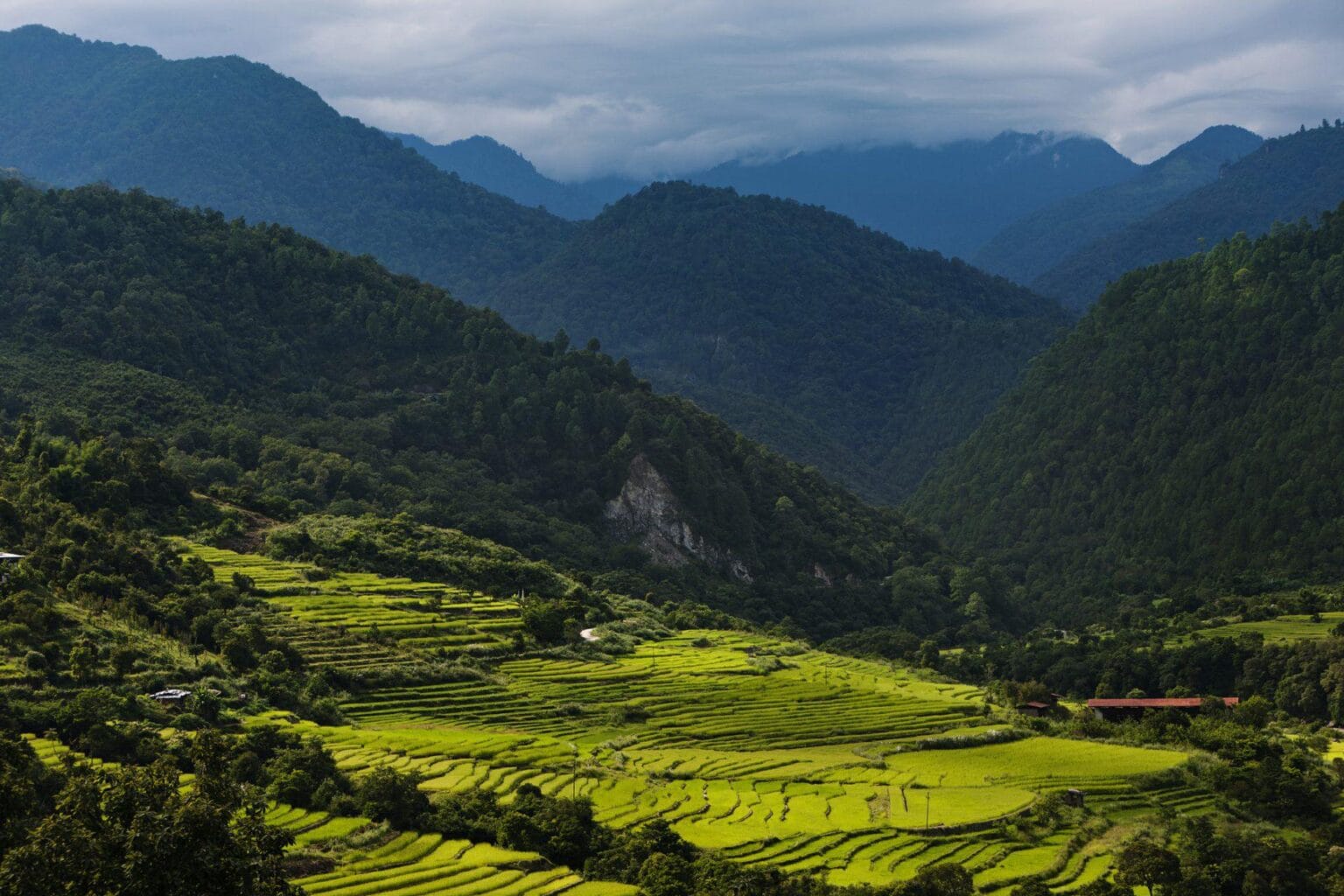 49329768-H1-View_from_COMO_Shambhala_Retreat_Building.jpg