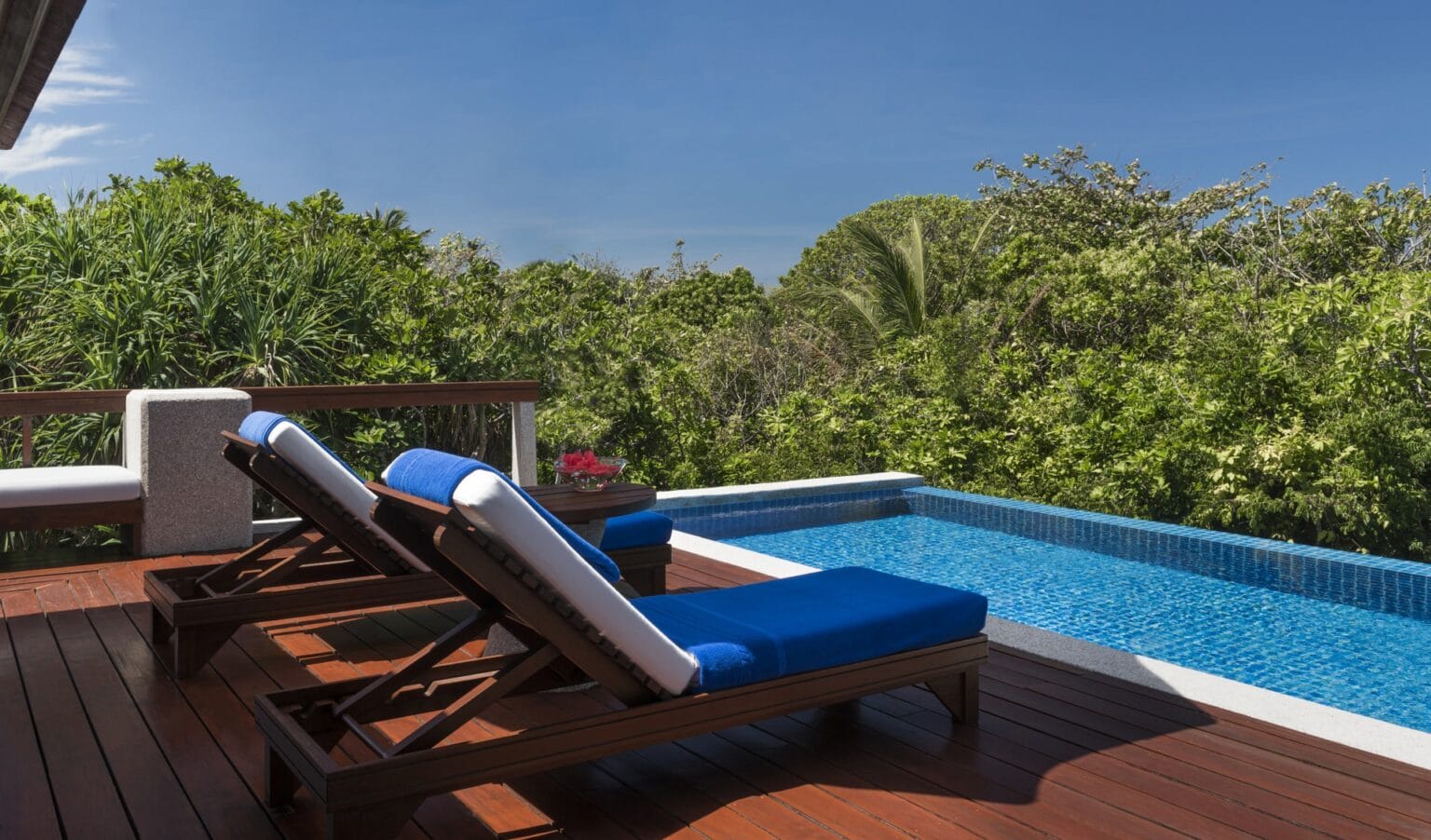 Amanpulo-Philippines-Casita-Treetop-Swimming-Pool_High-Res_13840.jpg