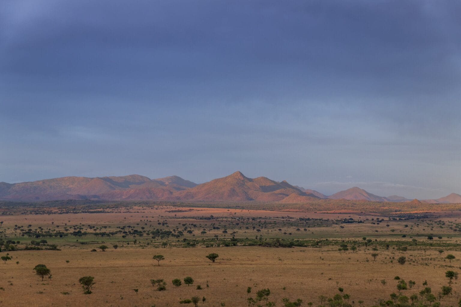 Apoka-17.jpg