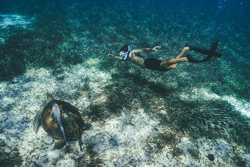 Belize_Cayo-Espanto_nurkowanie.jpg