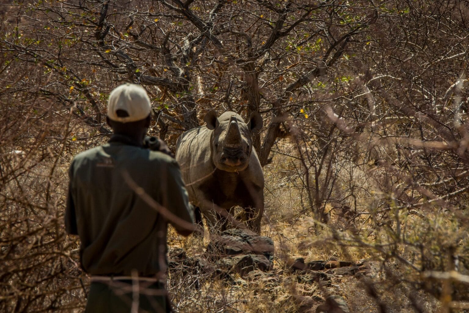Black-rhino-tracking-at-Huab-Under-Canvas-IMG_1896.jpg