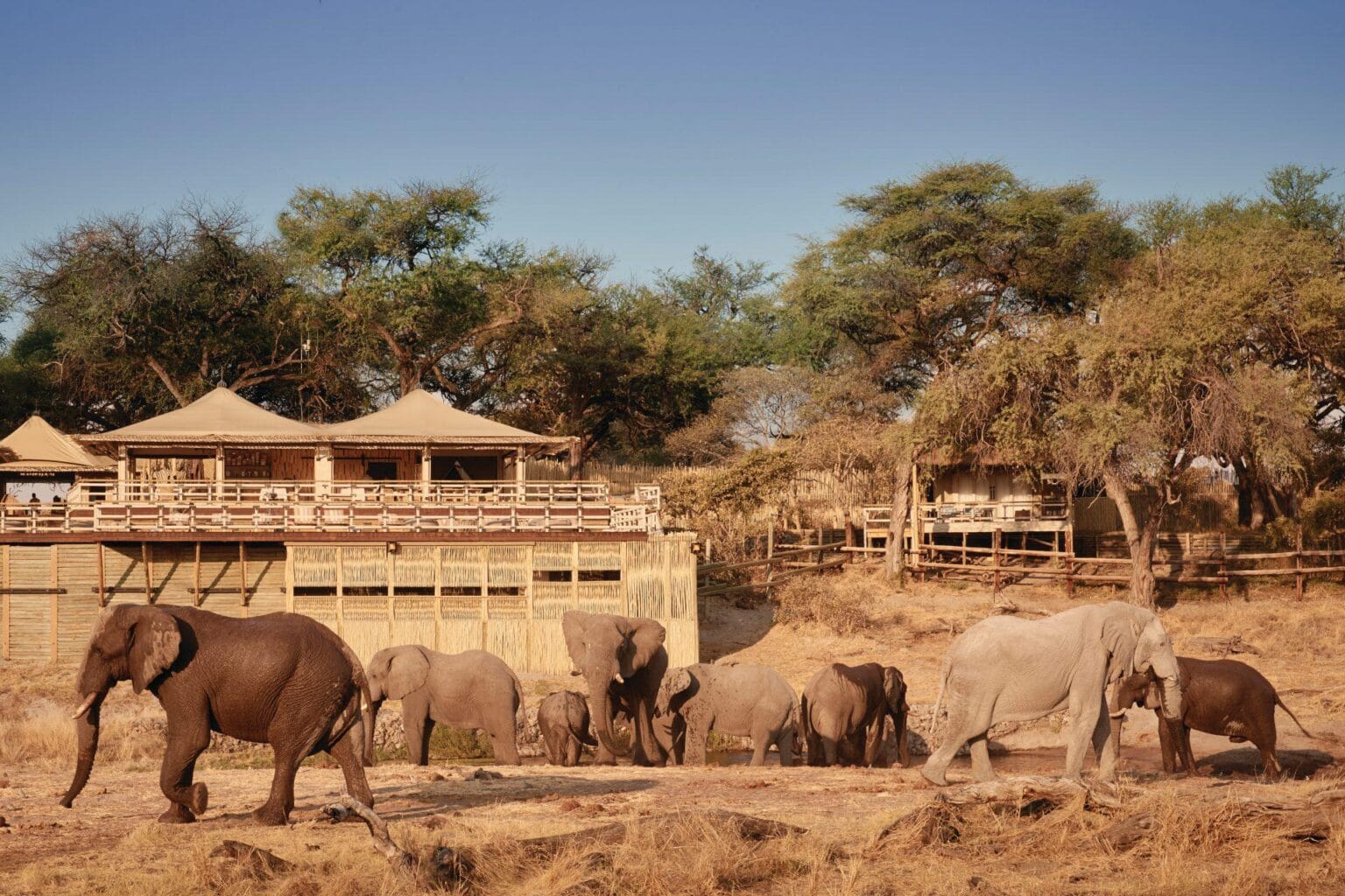 Botswana-Belmond-Savute-Elephant-Lodge-slonie.jpg