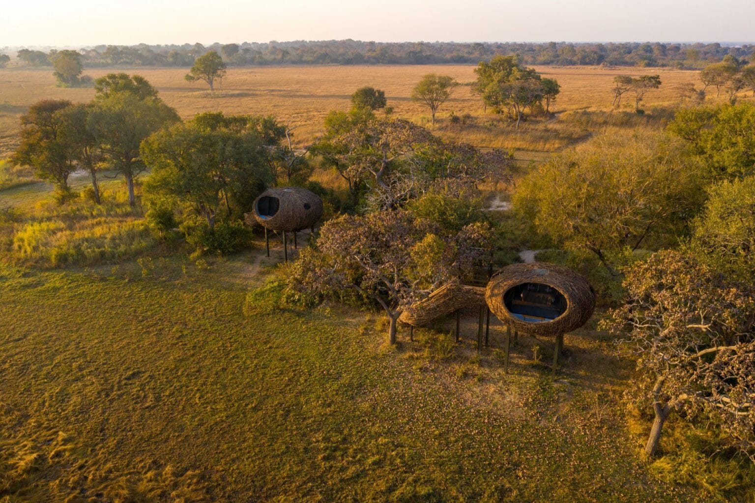 Chisa-Busanga-Camp-by-Green-Safaris-Zambia-najlepsze-hotele-w-Zambii-luksusowe-hotele-w-Zambii-luksusowe-wycieczki-szyte-na-miare-do-Zambii-ekskluzywne-wczasy-w-zambii-23.jpg