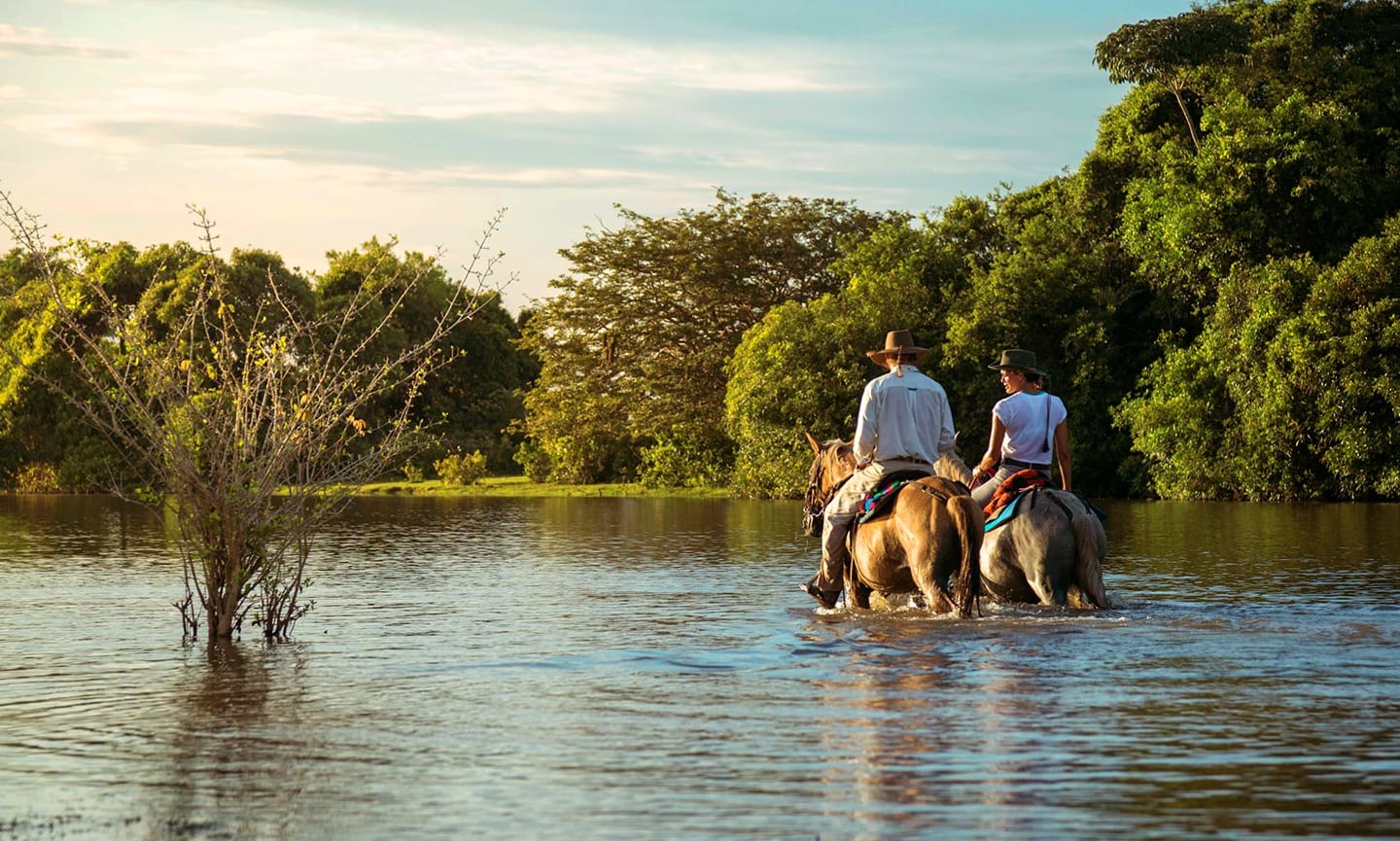 Corocora-Camp-Los-Llanos-Kolumbia-konie-4.jpg