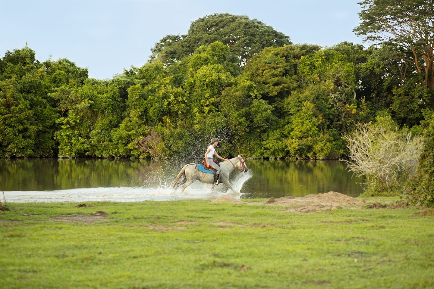 Corocora-Camp-Los-Llanos-Kolumbia-konie.jpg