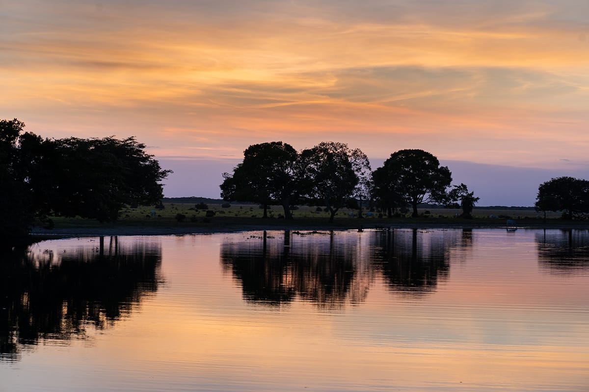 Corocora-Camp-Los-Llanos-Kolumbia-natura-2.jpg