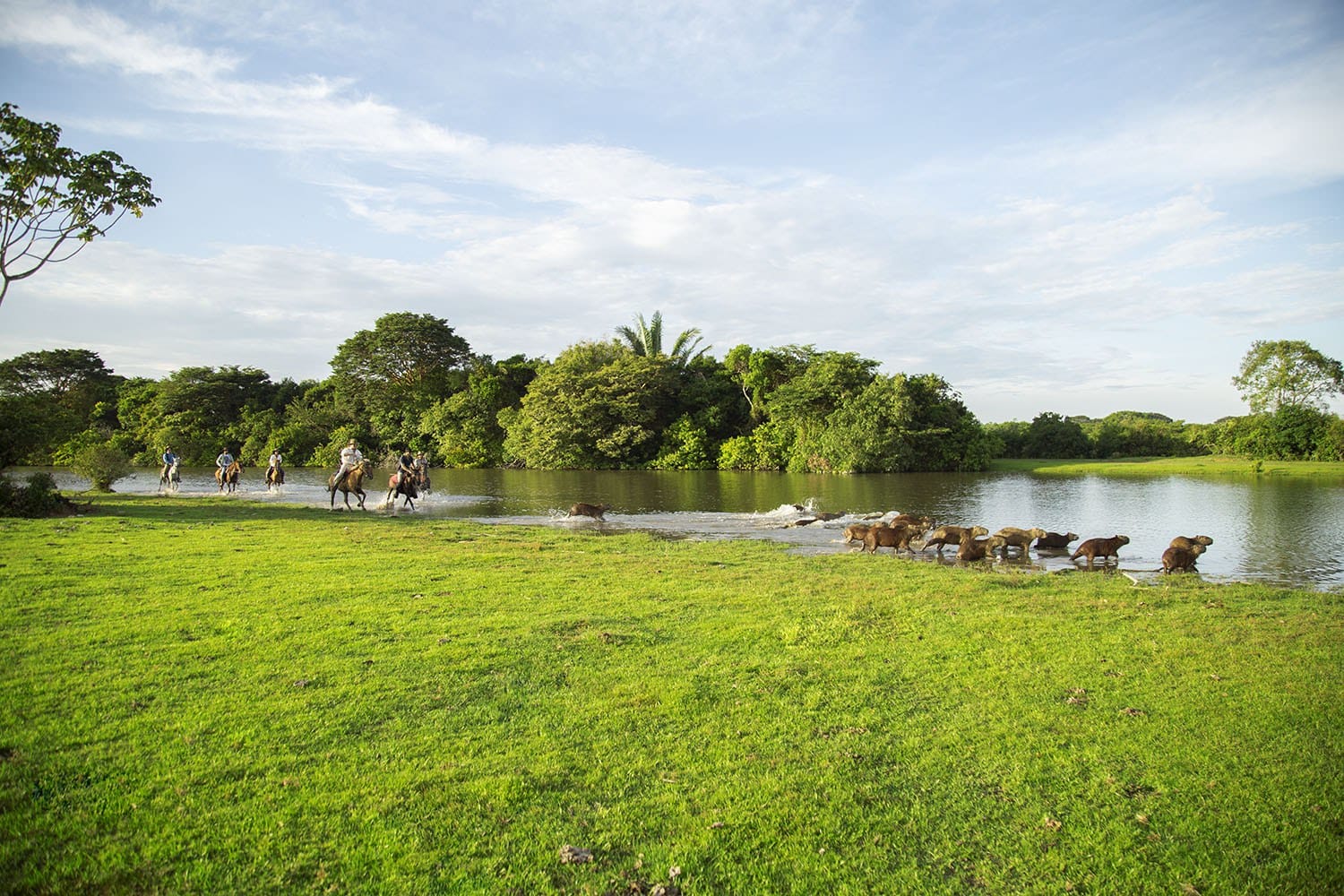Corocora-Camp-Los-Llanos-Kolumbia-rzeka.jpg