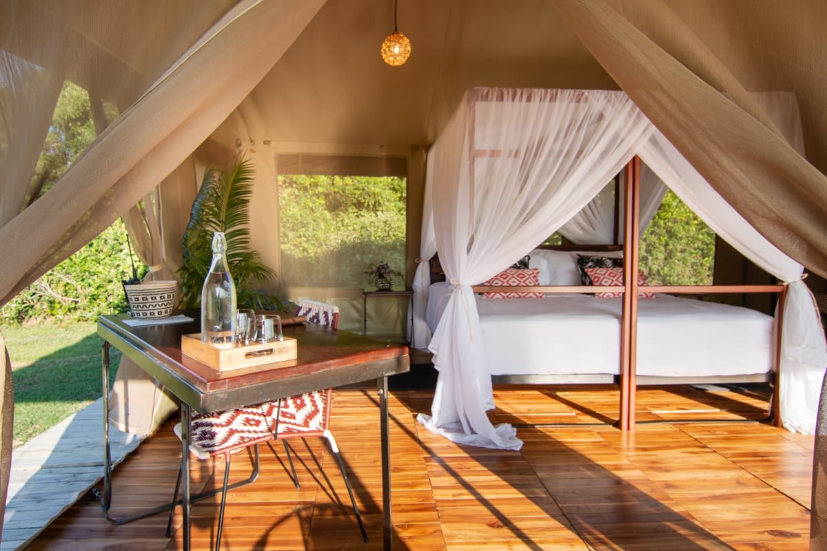Corocora-Camp-Los-Llanos-Kolumbia-tent-4.jpg
