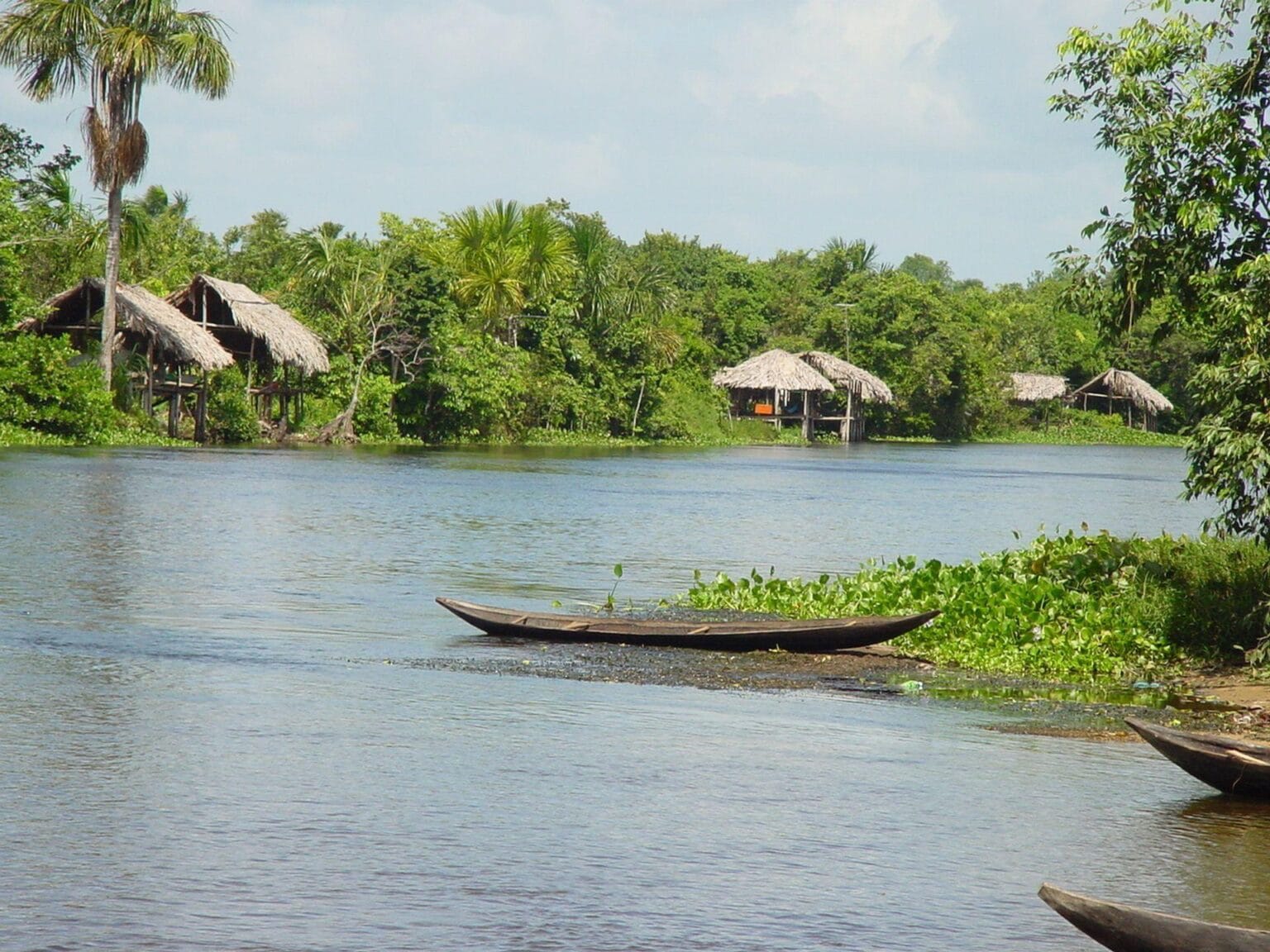 Delta-Orinoco.jpg