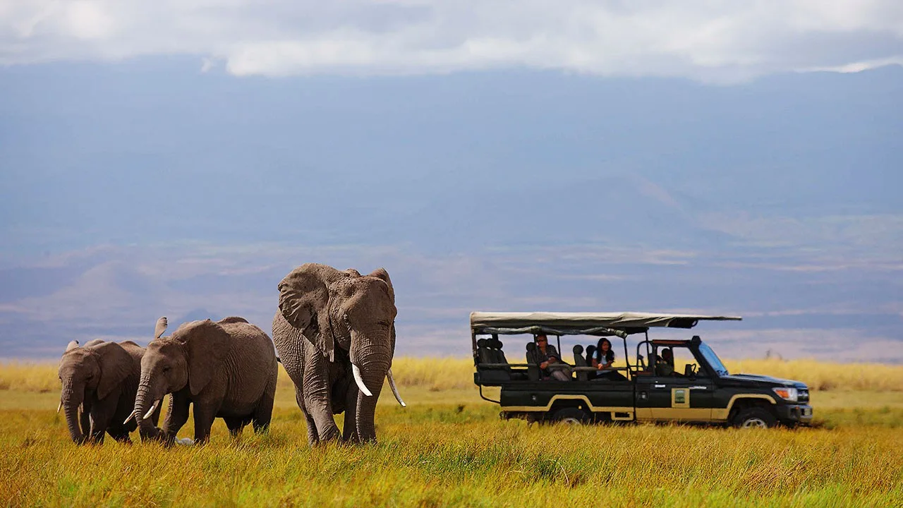 Elewana-Tortilis-Camp-Amboseli-Kenya-best-safari-in-Kenya-luxury-lodge-in-Kenya-exclusive-holidays-in-Kenya-luxury-trips-to-Kenya-3.jpg