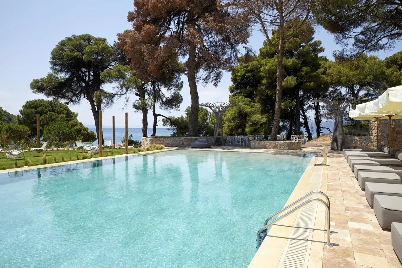 basen zewnętrzny otoczony drzewami