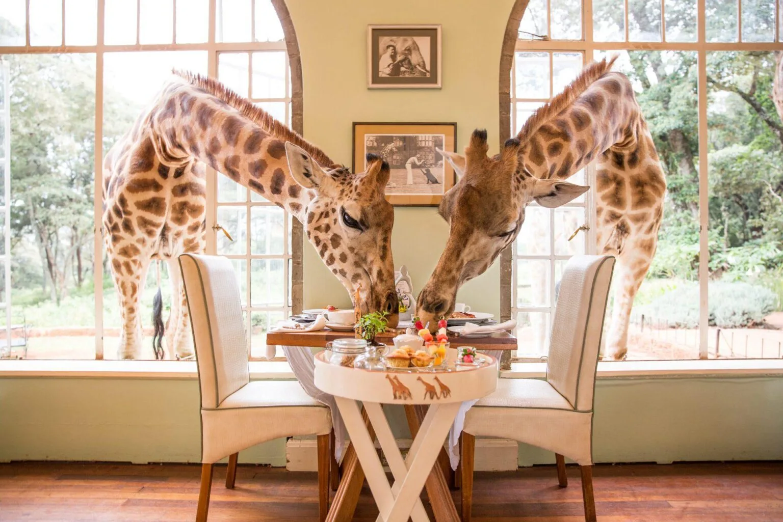 GGiraffe-Manor-breakfast.jpg