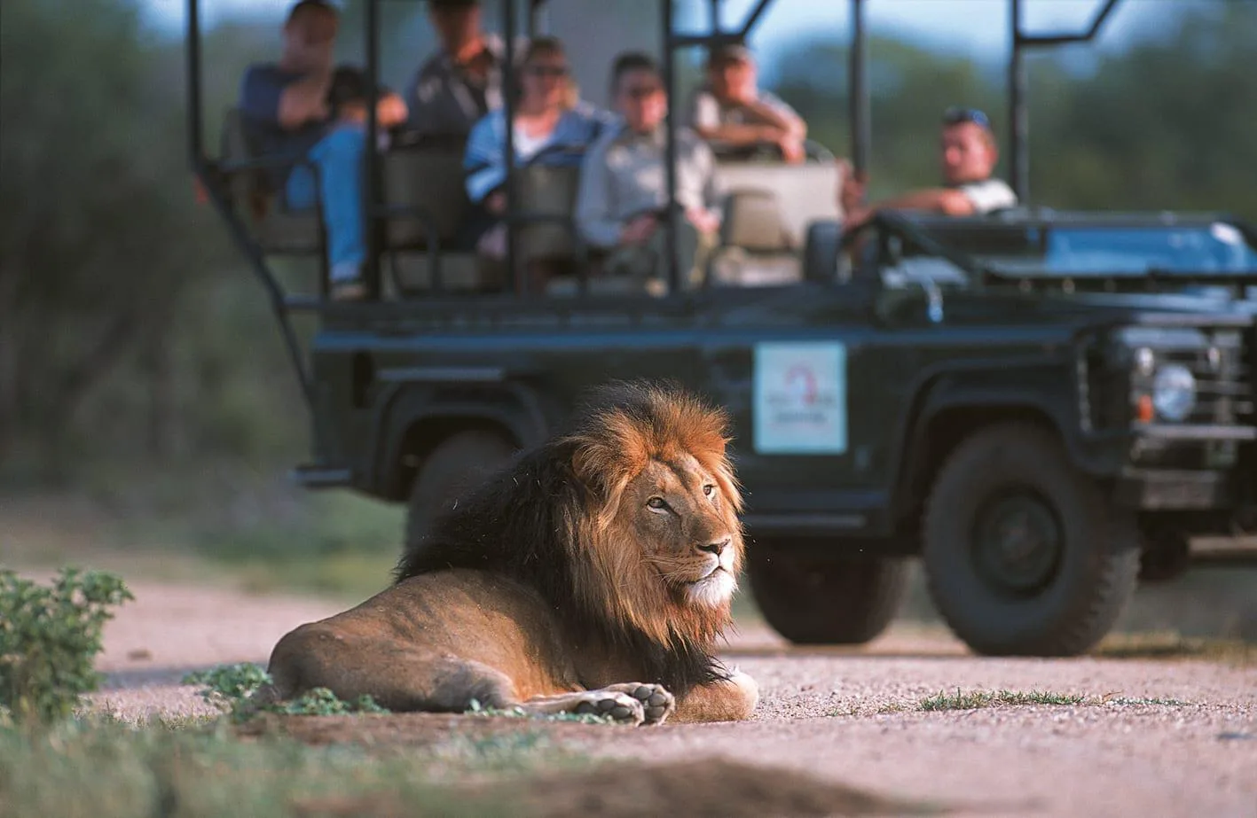 Game-Drive-04.jpg