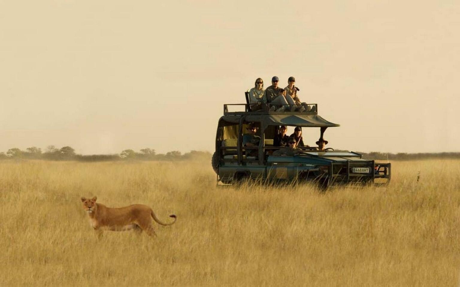 Game-Drive-6.jpg
