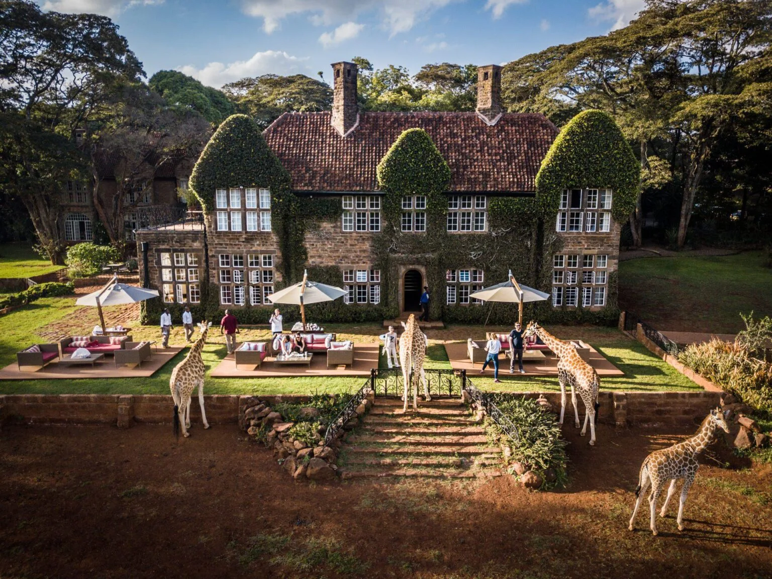 Girafe-Manor-hotel-z-zyrafami.jpg