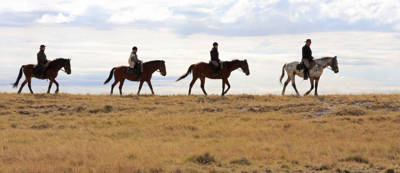 Horse-Riding-5.jpg