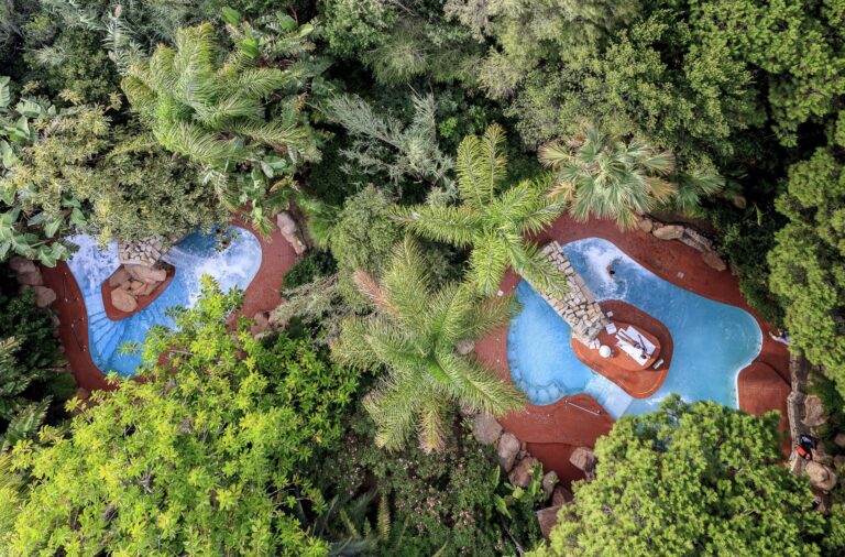 bird's eye view of hotel swimming pools among lush vegetation