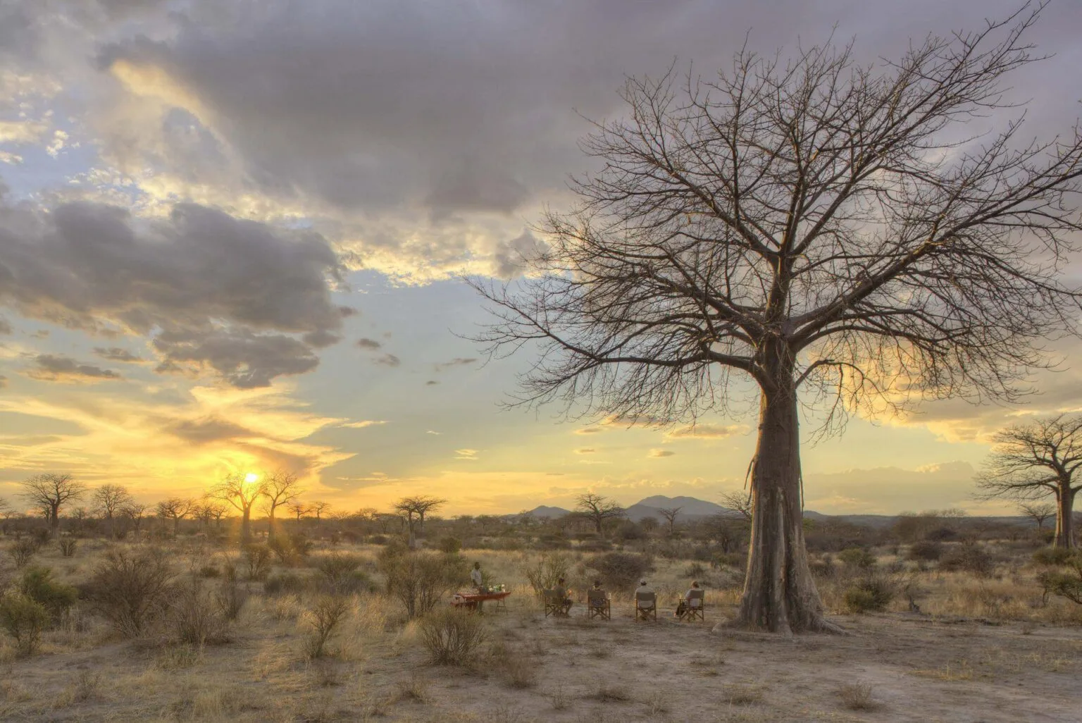 Jabali-Ridge-najlepsze-lodge-w-Tanzanii-luksusowe-hotele-w-Tanzanii-ekskluzywne-safari-w-Tanzanii-wycieczki-do-Tanzanii-szyte-na-miare-11.jpg