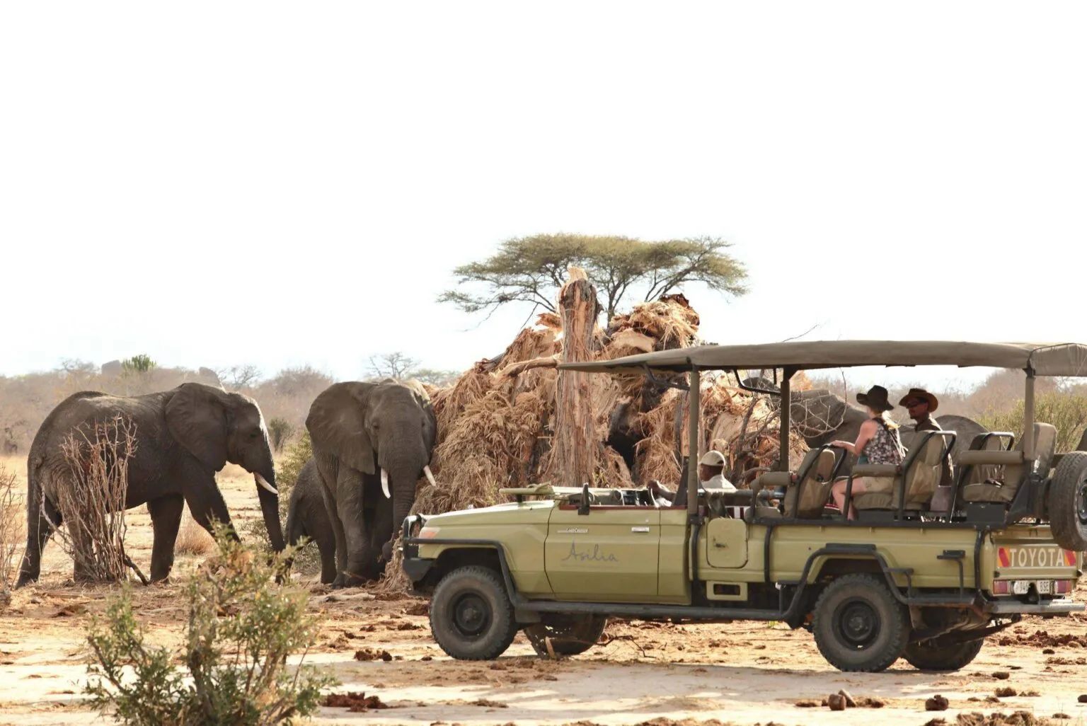 Jabali-Ridge-najlepsze-lodge-w-Tanzanii-luksusowe-hotele-w-Tanzanii-ekskluzywne-safari-w-Tanzanii-wycieczki-do-Tanzanii-szyte-na-miare-16.jpg