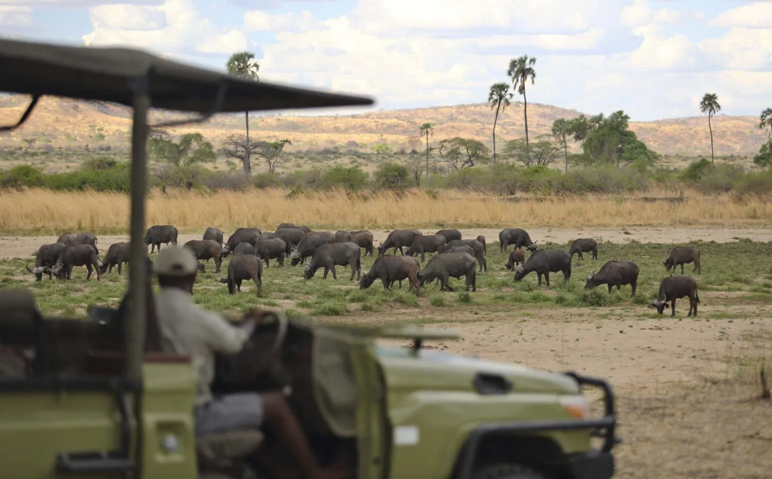 Jabali-Ridge-najlepsze-lodge-w-Tanzanii-luksusowe-hotele-w-Tanzanii-ekskluzywne-safari-w-Tanzanii-wycieczki-do-Tanzanii-szyte-na-miare-42.jpg