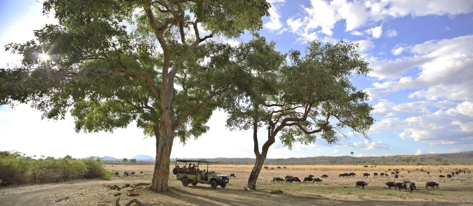 Jabali-Ridge-najlepsze-lodge-w-Tanzanii-luksusowe-hotele-w-Tanzanii-ekskluzywne-safari-w-Tanzanii-wycieczki-do-Tanzanii-szyte-na-miare-43.jpg