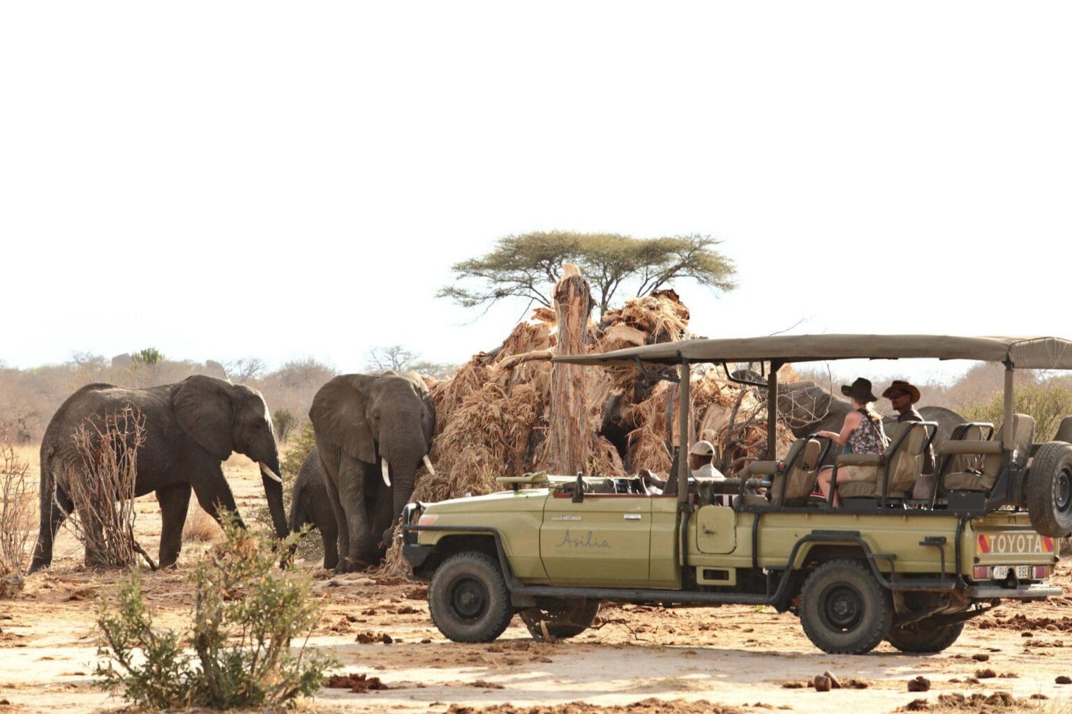 Jabali-Ridge-najlepsze-lodge-w-Tanzanii-luksusowe-hotele-w-Tanzanii-ekskluzywne-safari-w-Tanzanii-wycieczki-do-Tanzanii-szyte-na-miare-44.jpg
