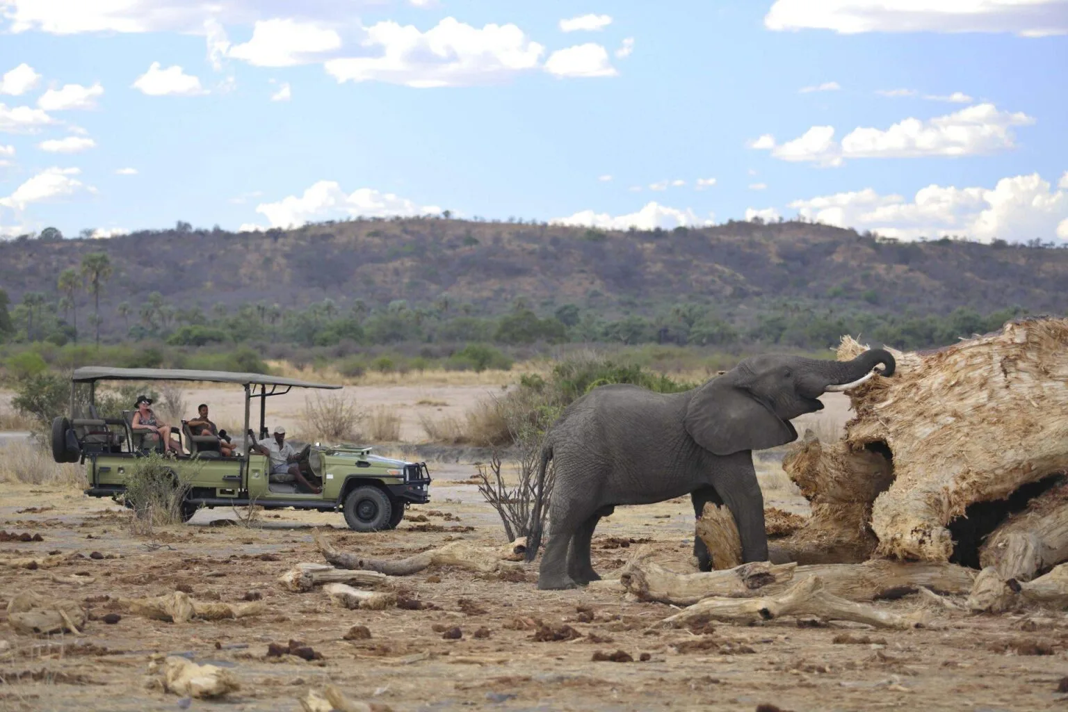 Jabali-Ridge-najlepsze-lodge-w-Tanzanii-luksusowe-hotele-w-Tanzanii-ekskluzywne-safari-w-Tanzanii-wycieczki-do-Tanzanii-szyte-na-miare-45.jpg