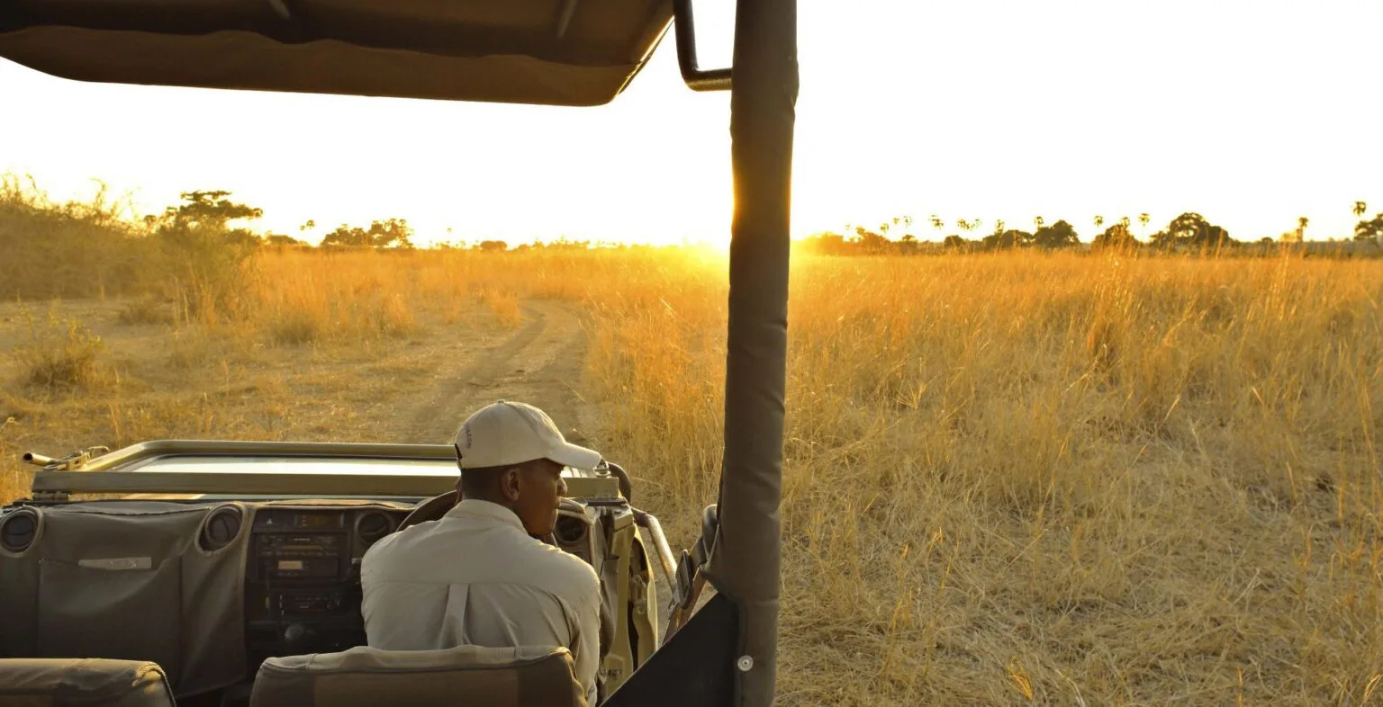 Jabali Ridge organizacja safari
